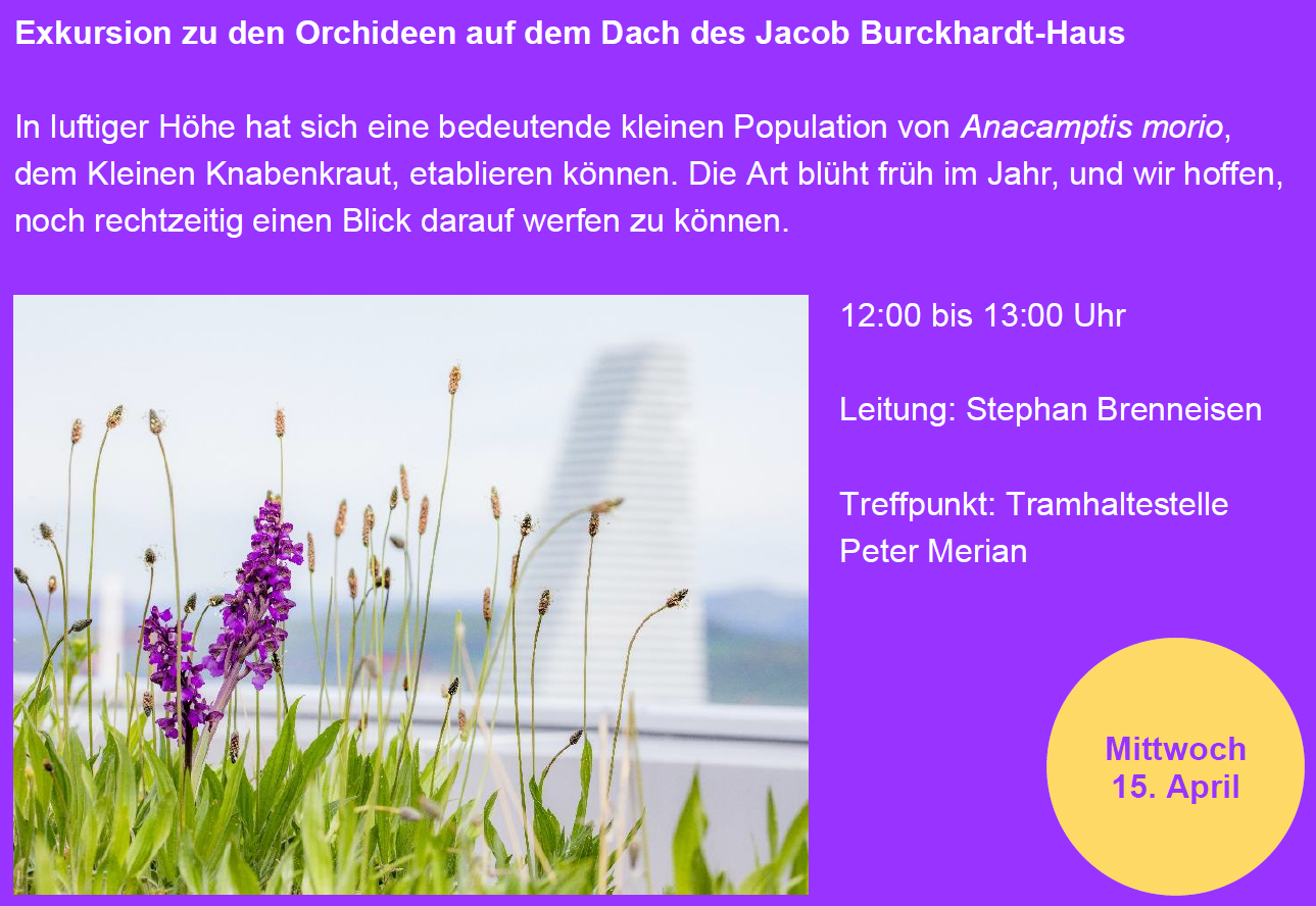 Jahresprogramm 2026/27