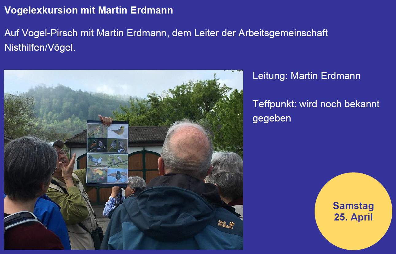 Jahresprogramm 2026/27