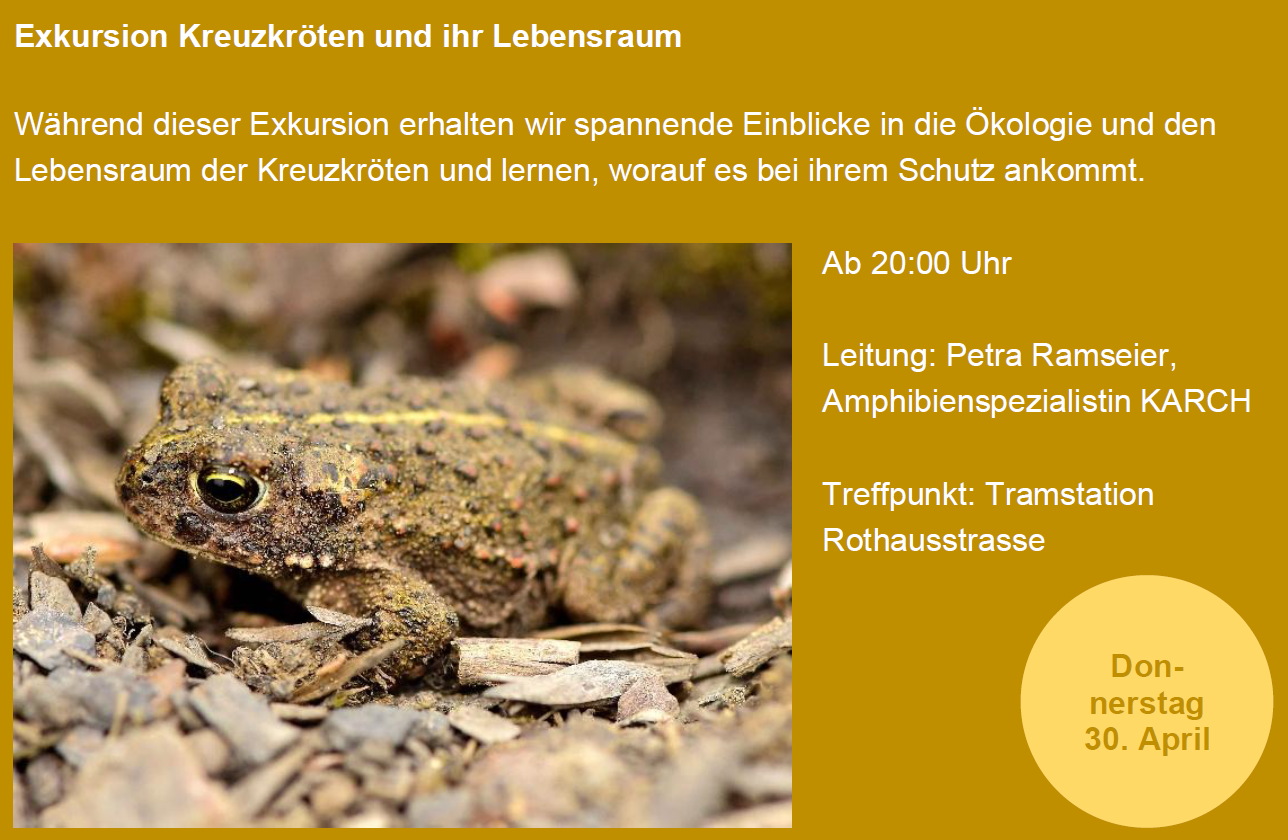 Jahresprogramm 2026/27