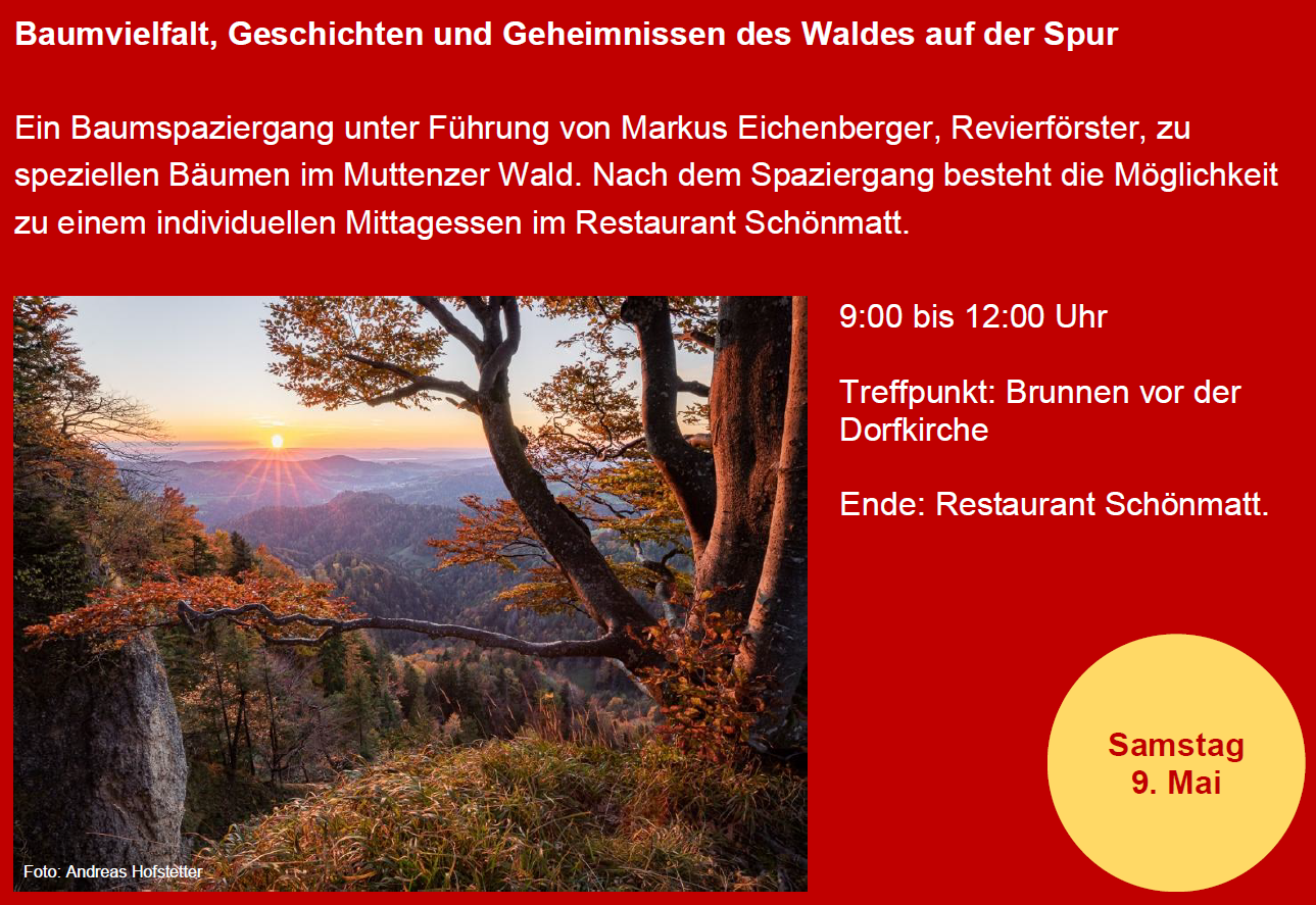 Jahresprogramm 2026/27