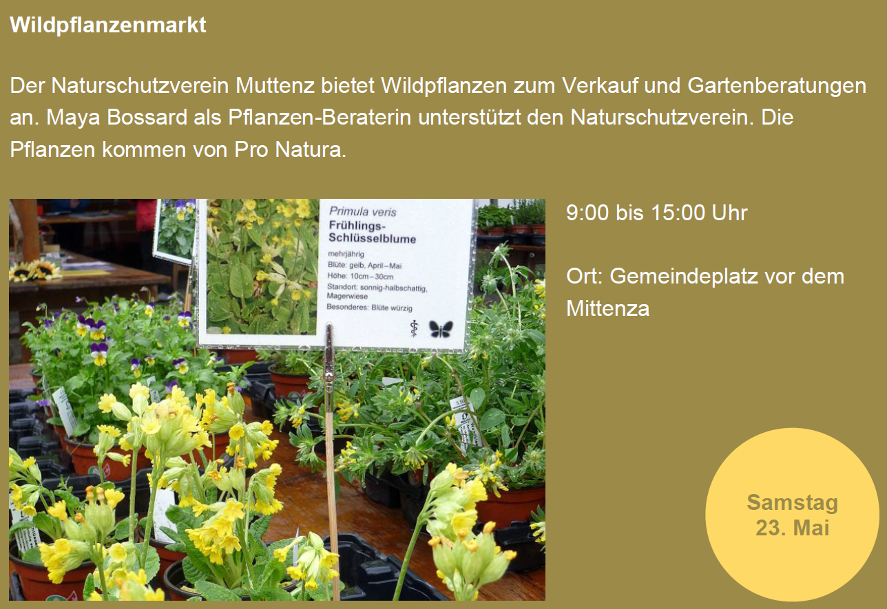 Jahresprogramm 2026/27