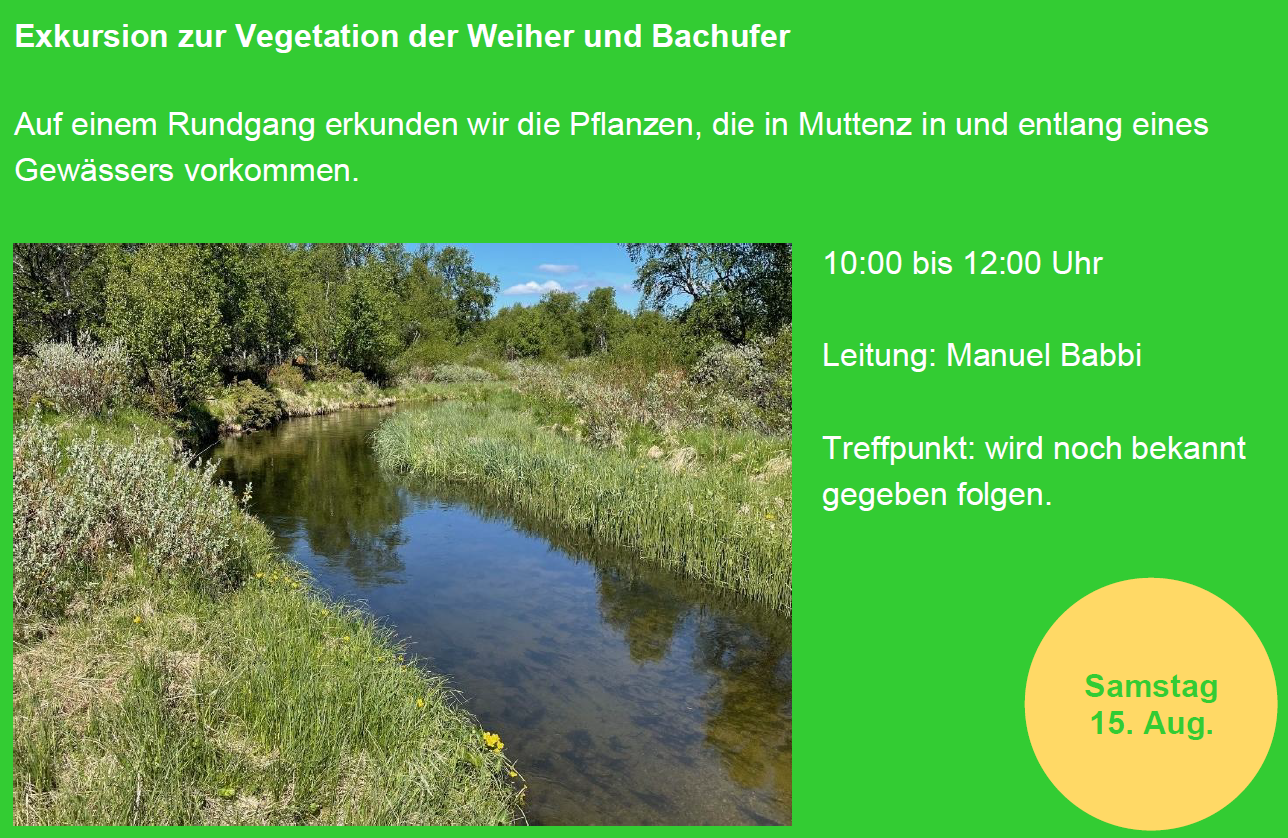 Jahresprogramm 2026/27