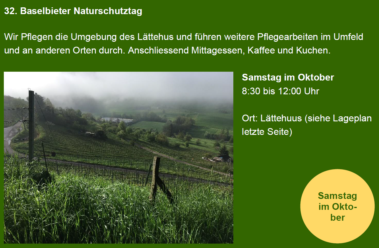 Jahresprogramm 2026/27