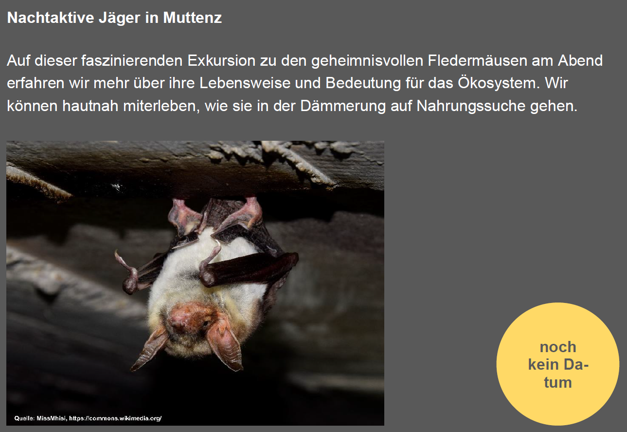 Jahresprogramm 2026/27